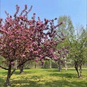 Meet your Posher, Brenda